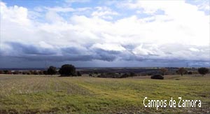 Campos zamoranos